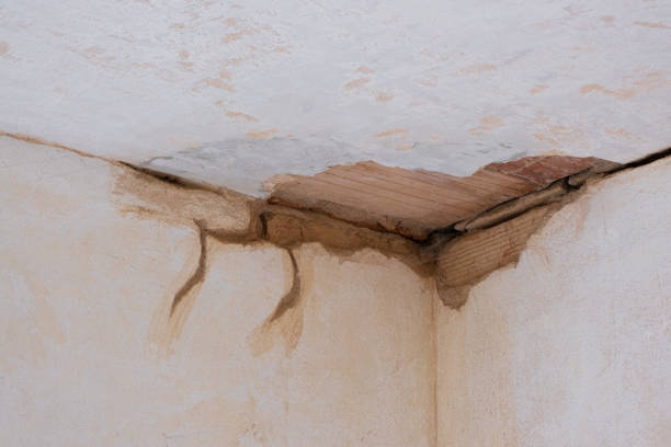 Best Commercial water damage restoration  in Kinston, NC