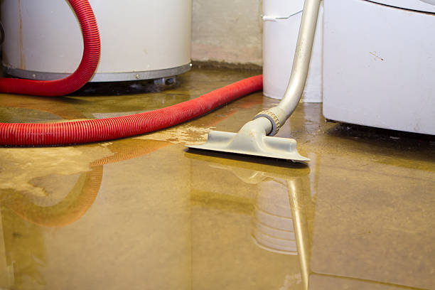 Best Water damage restoration near me  in Kinston, NC