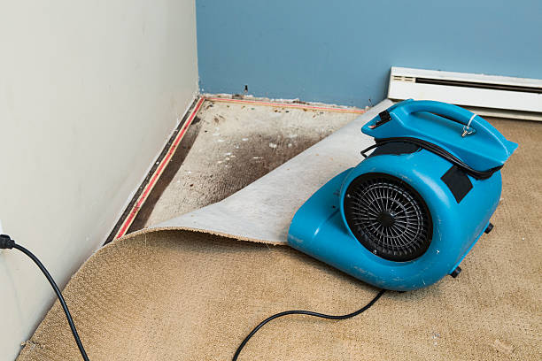 Best Water damage restoration near me  in Kinston, NC